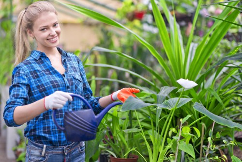 Weed control and soil care for a Forest Hill garden