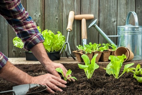 Gardeners Forest Hill service terms introduction