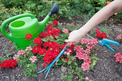 Gardener reviewing a customer complaint form