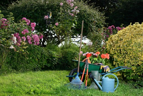 Professional tree lopping and removal work in Forest Hill