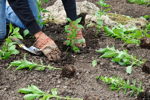 Cookie policy information for Gardeners Forest Hill website visitors