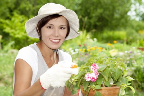 Professional garden clearance with branches and weeds in Forest Hill