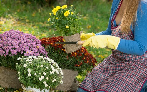 Safe and tidy garden service in Forest Hill with insured staff