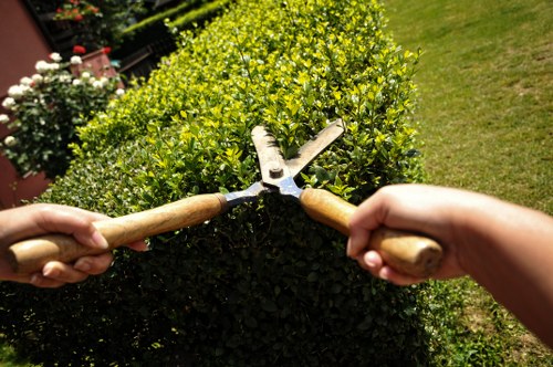 Safe garden maintenance practices during outdoor work