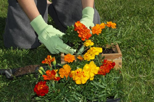 Transparent gardening prices and quotes for Forest Hill homes