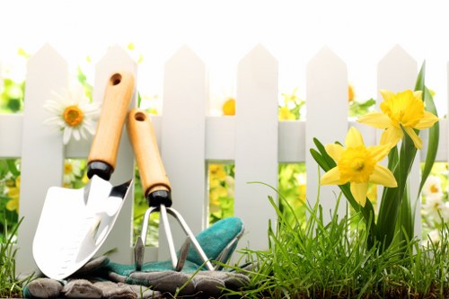 Professional patio cleaning improving a Forest Hill garden space