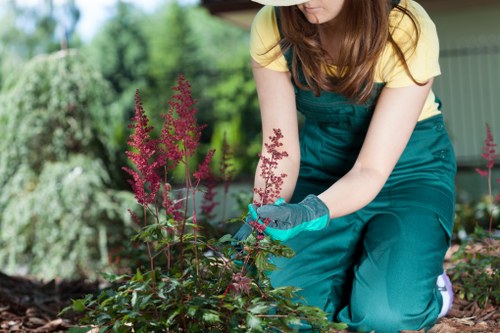 Garden waste and debris being removed in Forest Hill