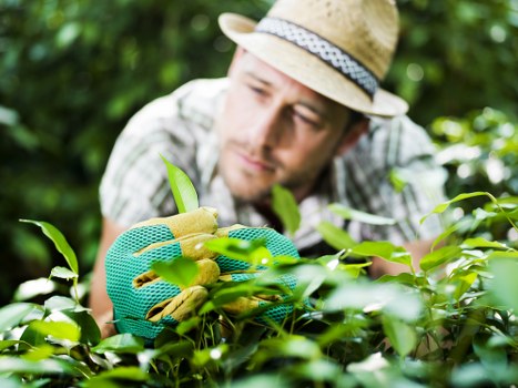 Marketing cookies helping Gardeners Forest Hill measure promotional effectiveness