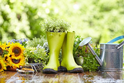Seasonal lawn maintenance in Forest Hill with fresh, well-kept grass
