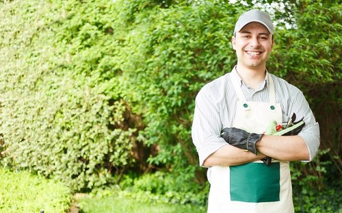 Seasonal garden maintenance in Forest Hill