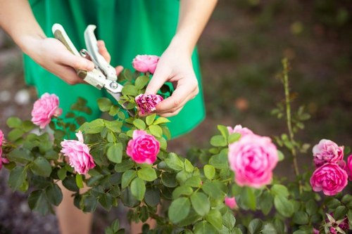 Forest Hill gardening quote example for a residential garden clearance