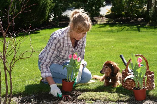 Professional garden team trained in safe working methods