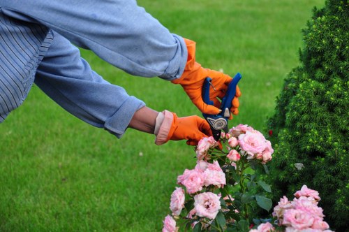 Professional hedge trimming on a residential property in Forest Hill