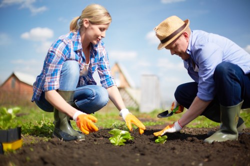 Watering strategy for a healthy Forest Hill lawn during warm weather