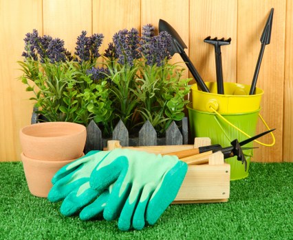 Image symbolising screen-reader support for Forest Hill gardening services