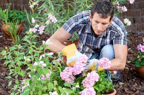 Professional gardening team following a health and safety policy