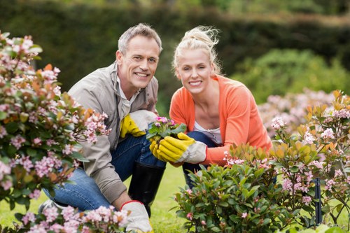 Forest Hill garden care with pruning and tidy planting beds