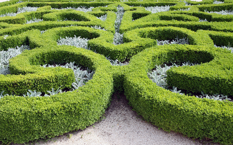 garden yard