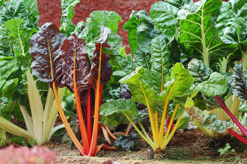 garden property